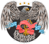 Barevný orel 010 pravá s americkou vlajkou