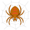 Barevný pavouk 002 s pavučinou