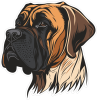 Barevný pes 021 levá boxer