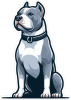 Barevný pes 065 levá Pitbull
