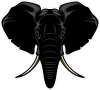 Barevný slon 003