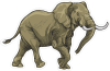 Barevný slon 005 pravá