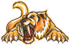 Barevný tygr 017 levá rozzuřený s vystrčenými drápy