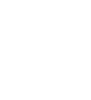 Cobra 005 levá