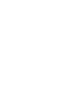 Ještěrka 016 pravá