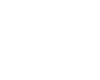 Kůň 039 levá