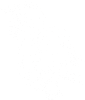 Kůň 054 levá