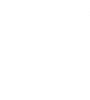 Lev heraldika 001 levá Český lev