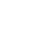 Motýl 008