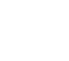 Motýl 009 pravá