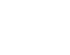 Motýl 018