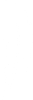 Peříčko 001 levá