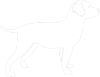Pes 062 pravá Labrador