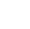 Pes 132 pravá Cavalier king Charles spaniel