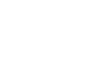 Pit Bull lady levá