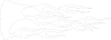 Plameny 039