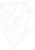 Predators 002 levá
