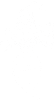 Rozzuřená vosa 004 pravá