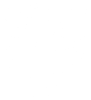 Tygr 005 levá hlava
