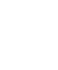 Tyrannosaurus Rex 004 pravá