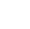 Včela 001 pravá