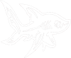 Žralok 001 pravá