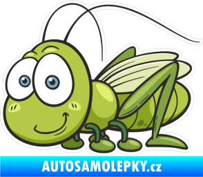 Samolepka Barevná kobylka 001 levá