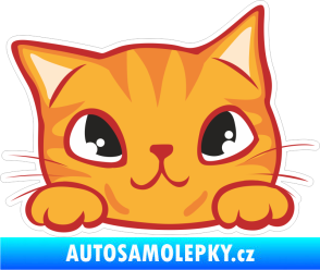 Samolepka Barevná kočka 007 pravá