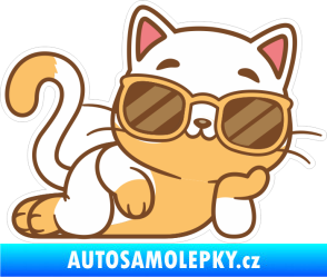 Samolepka Barevná kočka 031 pravá pohoda v brýlích