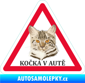 Samolepka Barevná kočka v autě 001