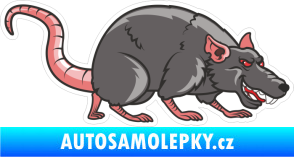 Samolepka Barevná krysa 004 pravá