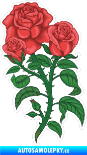 Samolepka Barevná růže 004 levá