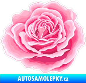 Samolepka Barevná růže 006 levá