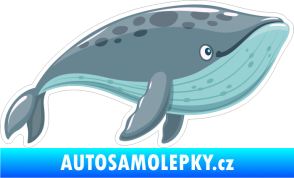 Samolepka Barevná velryba 003 pravá keporkak