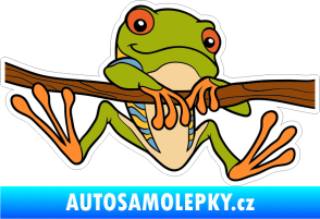 Samolepka Barevná žába 003 pravá
