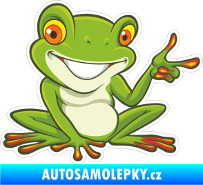 Samolepka Barevná žába 010 pravá