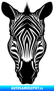 Samolepka Barevná zebra 003