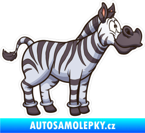 Samolepka Barevná zebra 005 pravá