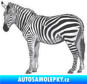 Samolepka Barevná zebra 006 levá