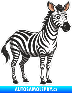 Samolepka Barevná zebra 007 pravá