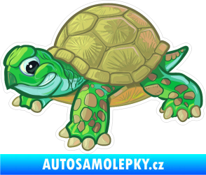 Samolepka Barevná želva 008 levá naštvaná