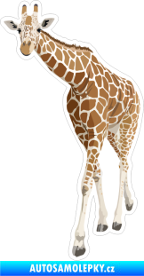 Samolepka Barevná žirafa 002 levá