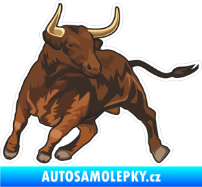 Samolepka Barevný býk 006 pravá