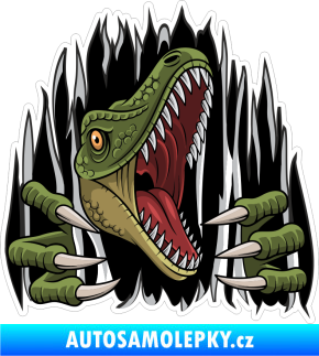 Samolepka Barevný dinosaurus 007 pravá