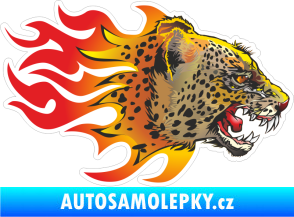 Samolepka Barevný jaguár 001 pravá v plamenech