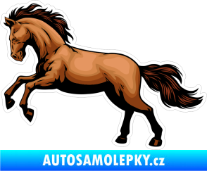 Samolepka Barevný kůň 008 levá