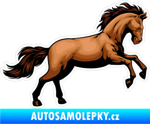 Samolepka Barevný kůň 008 pravá