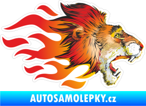 Samolepka Barevný lev 006 pravá v plamenech