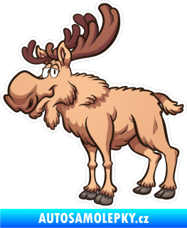 Samolepka Barevný los 004 levá