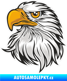 Samolepka Barevný orel 017 levá bělohlavý